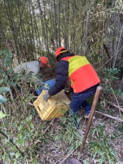 🌈店長、狐🦊を捕まえ、リリースする💨

コースを荒らすイノシシ🐗を捕まえるため、店長は猟師（いなべ猟友会所属）になり、レインボーで罠を仕掛けています